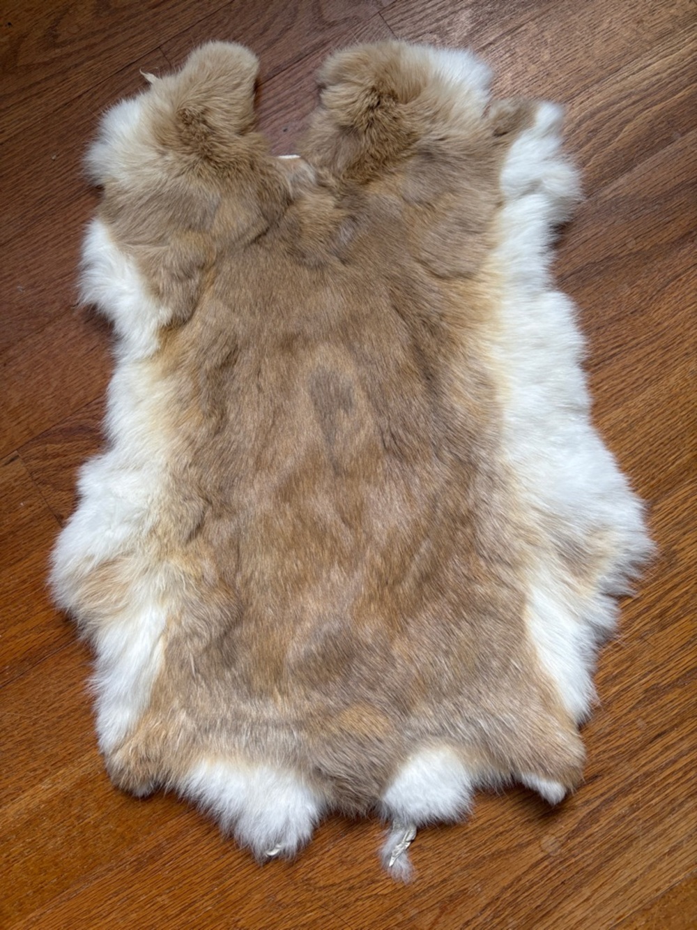 0853 rabbit fur pelt